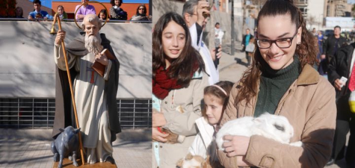 bendicion animales